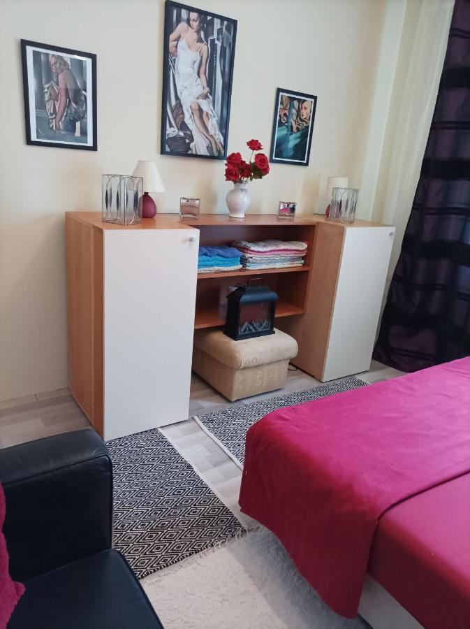 Panorama Apartment Near Szeged Plaza Zewnętrze zdjęcie