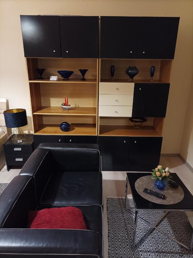 Panorama Apartment Near Szeged Plaza Zewnętrze zdjęcie