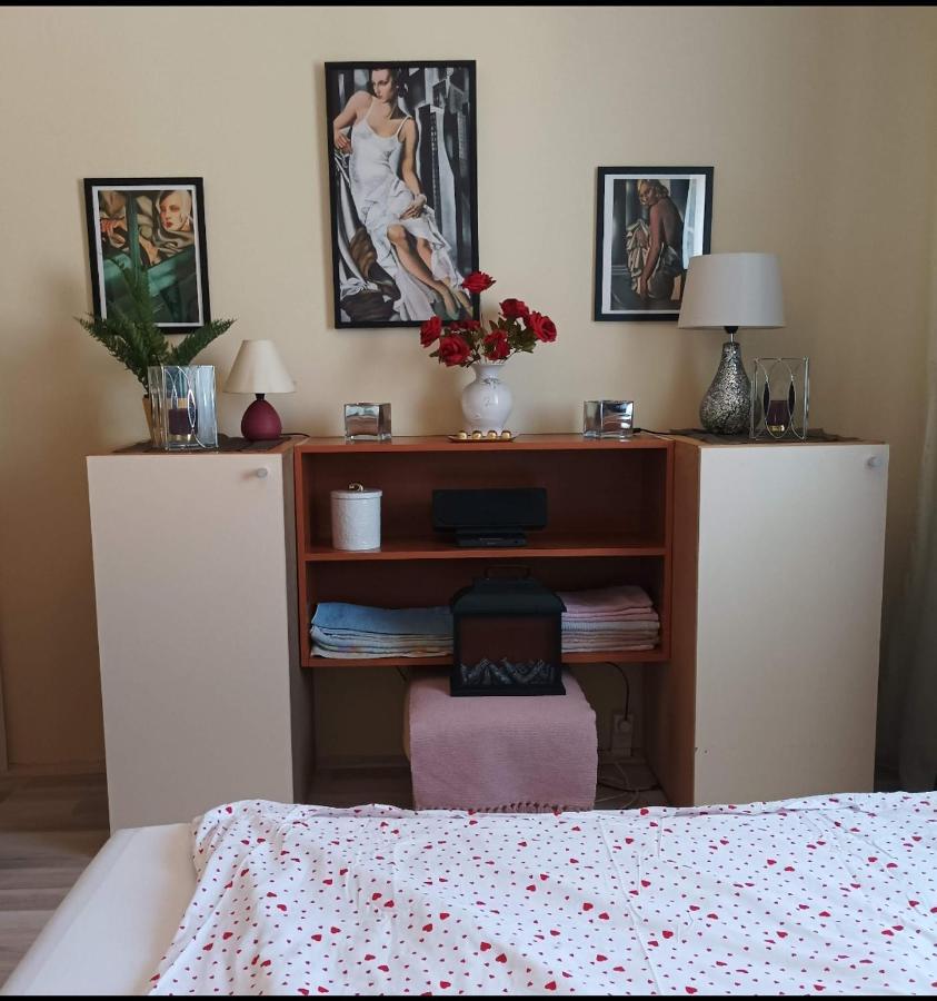 Panorama Apartment Near Szeged Plaza Zewnętrze zdjęcie